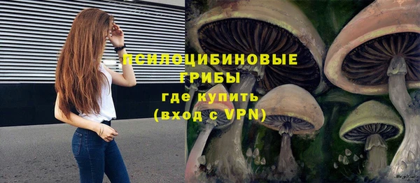 мяу мяу кристалл Алексин