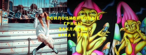 ешки Алексеевка