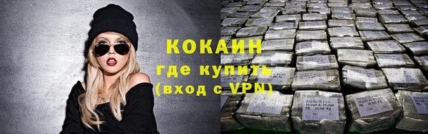 гашик Алзамай