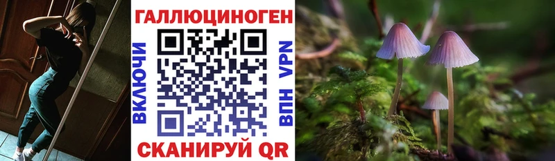 Псилоцибиновые грибы мухоморы  Гаврилов Посад 